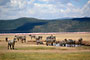 Lake Nakuru National Park- Keňa
