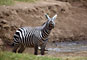 Lake Nakuru National Park- Keňa