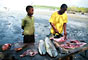 Pemba Island (Wete) -Tanzánie