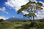 Arusha National Park-Tanzánie