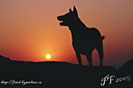 Wallpaper_2005