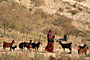 Sokotra - Yemen