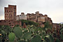 Sokotra - Yemen